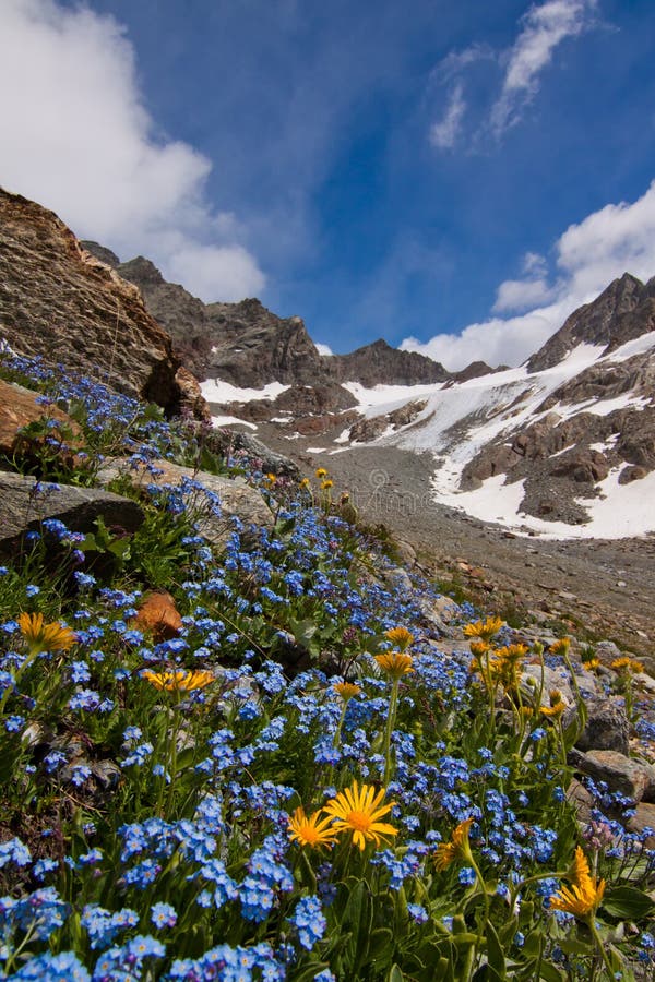 Alpine scene stock image. Image of backdrop, relax, daisy - 15398401