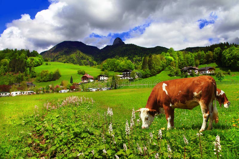 Alpine scenery