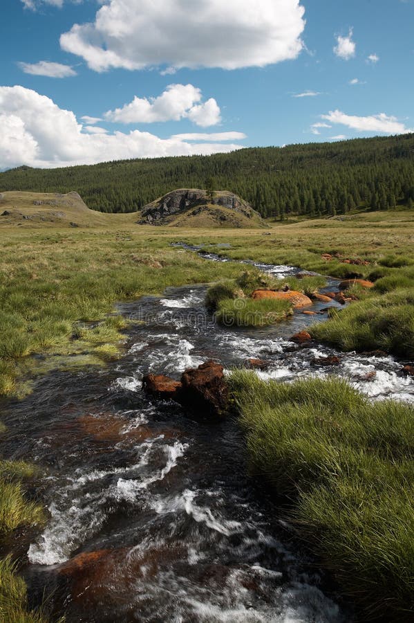 Alpine stream royalty free stock photos Alpine stream royalty free stock photos