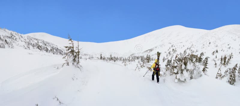 Alpine touring skier hiking in winter mountains.