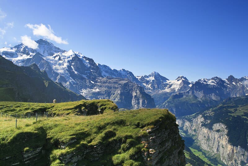 alps швейцарские стоковые фото alps швейцарские стоковые фото
