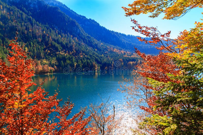 Alpsee lake.Bavaria, Germany