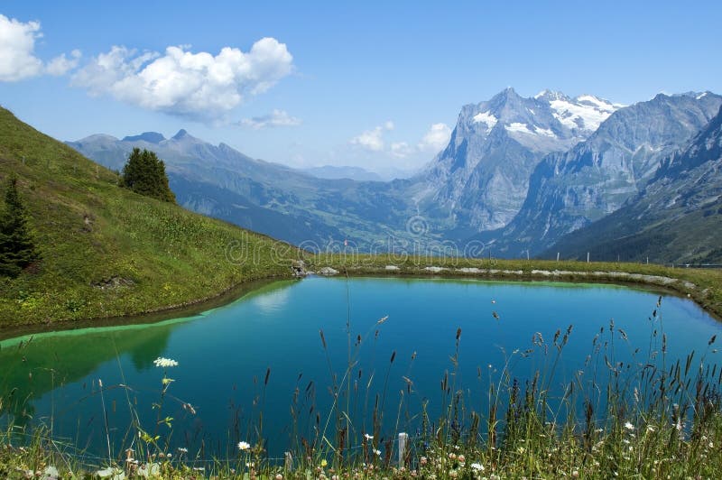 Alpslakeschweizare