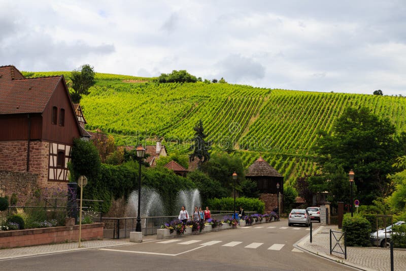 Alsace vinregion arkivbilder Alsace vinregion arkivbilder