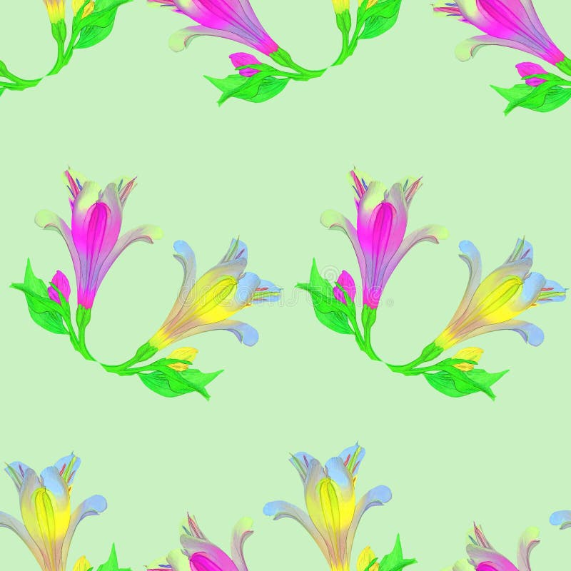Alstroemeria Texture sans couture de modèle des fleurs floral illustration de vecteur Alstroemeria Texture sans couture de modèle des fleurs floral illustration de vecteur