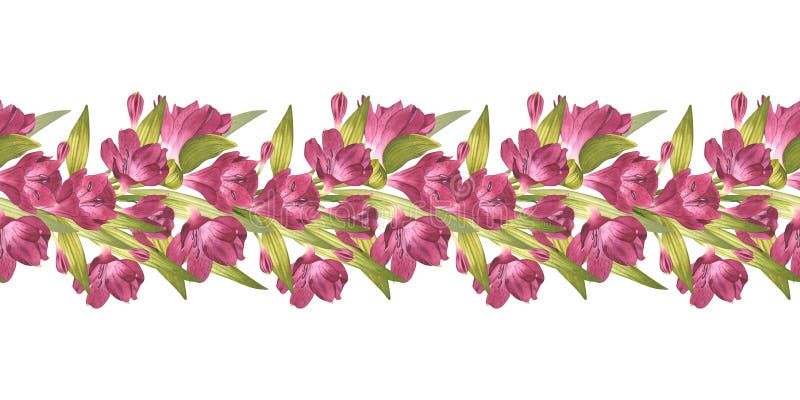 Alstroemeria. vacker peruansk lilja. horisontell blomkanten med grön. sömlöst mönster för bakgrundsdesign stock illustrationer