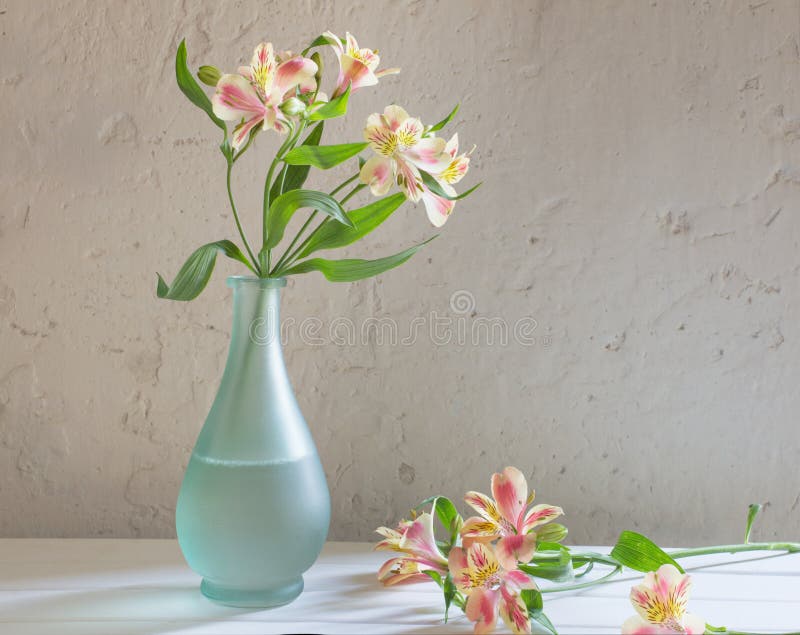 Alstroemeria in vase on white background royalty free stock images Alstroemeria in vase on white background royalty free stock images