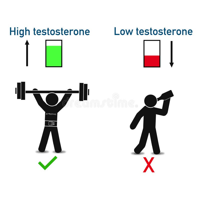 Alta testosterona, imagen abstracta del negocio de la calidad estupenda baja del estrógeno