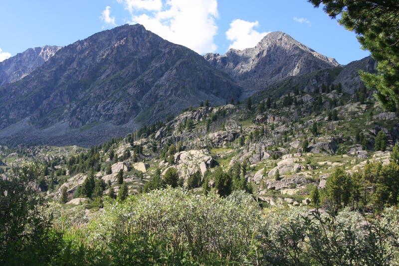 Altai Mountain in summer