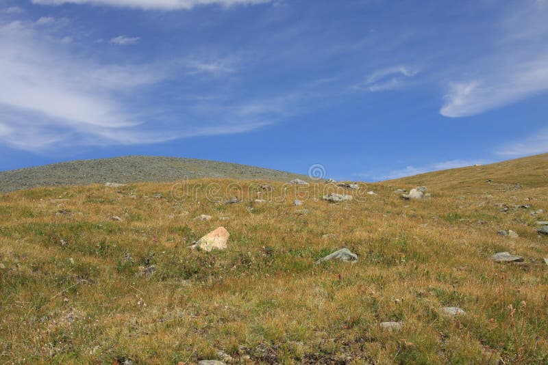 Altai Mountain in summer