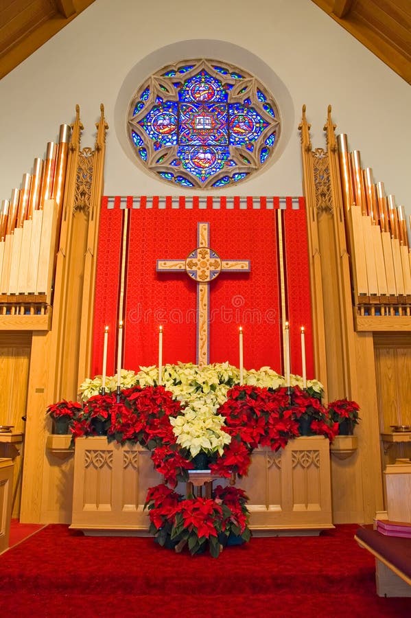 A view of the altar and pipe organ in the chancel of a modern Protestant church, decorated with red and white poinsettias for the Christmas season. A view of the altar and pipe organ in the chancel of a modern Protestant church, decorated with red and white poinsettias for the Christmas season.