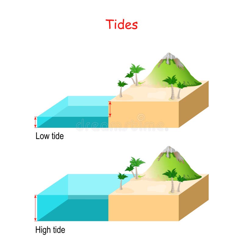 High and low tides. Landscape with mountain, sea and palm trees. water â€‹â€‹level. High and low tides. Landscape with mountain, sea and palm trees. water â€‹â€‹level