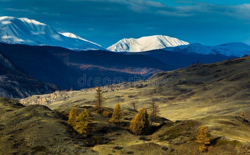 Altay. Mountains. Golden autumn. Blue sky.