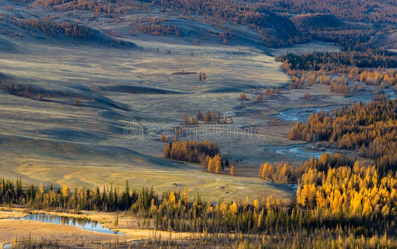 Altay. Mountains. Golden autumn. Blue sky.