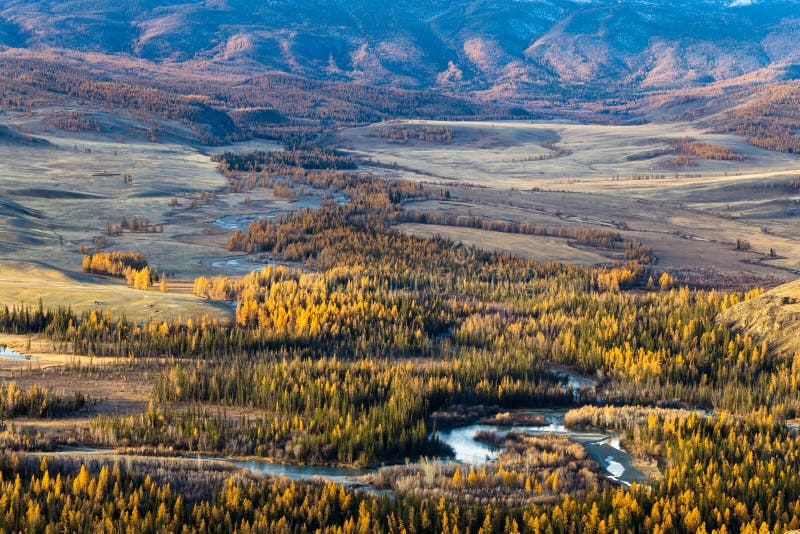 Altay. Mountains. Golden autumn. Blue sky.