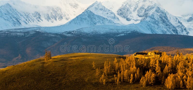 Altay. Mountains. Golden autumn. Blue sky.