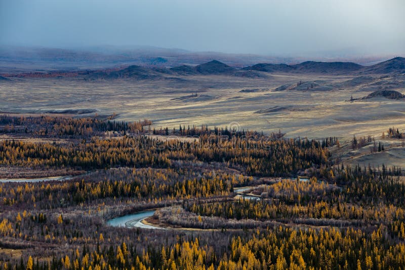 Altay. Mountains. Golden autumn. Blue sky.