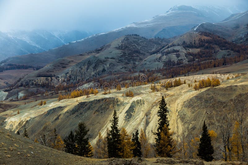 Altay. Mountains. Golden autumn. Blue sky.