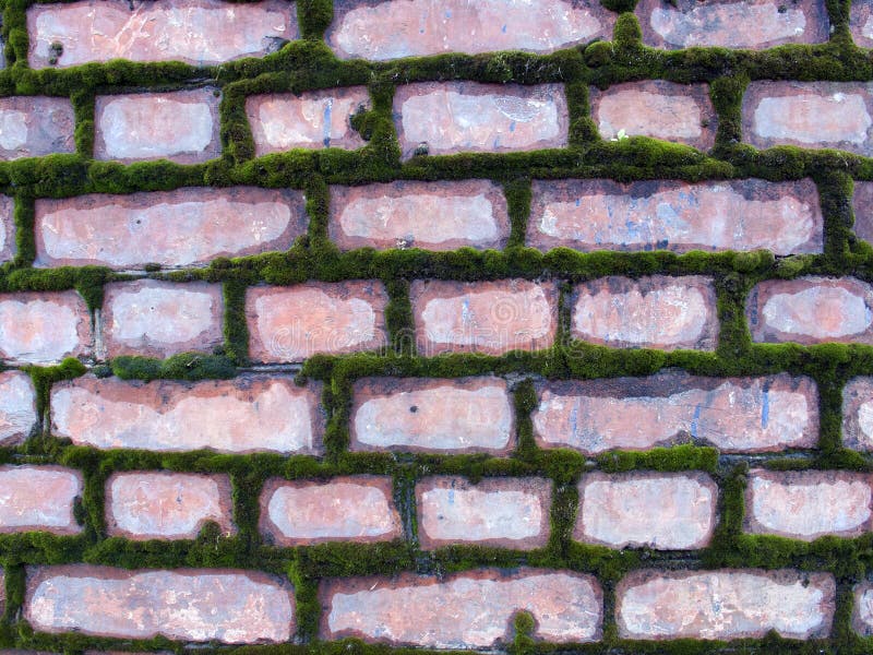 Alte Backsteinmauer überwältigt mit Moos lizenzfreies stockfoto Alte Backsteinmauer überwältigt mit Moos lizenzfreies stockfoto