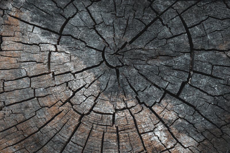 Alte graue braune hölzerne geschnittene Beschaffenheit Dunkler Hintergrundabschluß des Schmutzes oben Ausführliche Beschaffenheit stockfotos Alte graue braune hölzerne geschnittene Beschaffenheit Dunkler Hintergrundabschluß des Schmutzes oben Ausführliche Beschaffenheit stockfotos