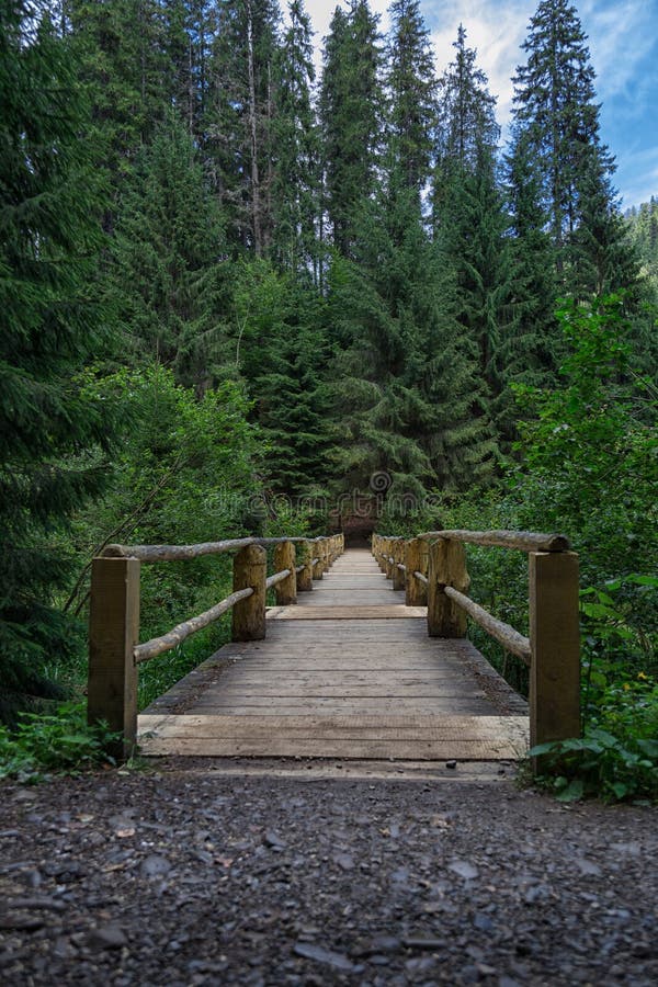 Alte Holzbrücke im grüner Koniferenwaldidyllischen einsamen Platz nahe See Synevyr in den Karpatenbergen, Ukraine stockbilder Alte Holzbrücke im grüner Koniferenwaldidyllischen einsamen Platz nahe See Synevyr in den Karpatenbergen, Ukraine stockbilder