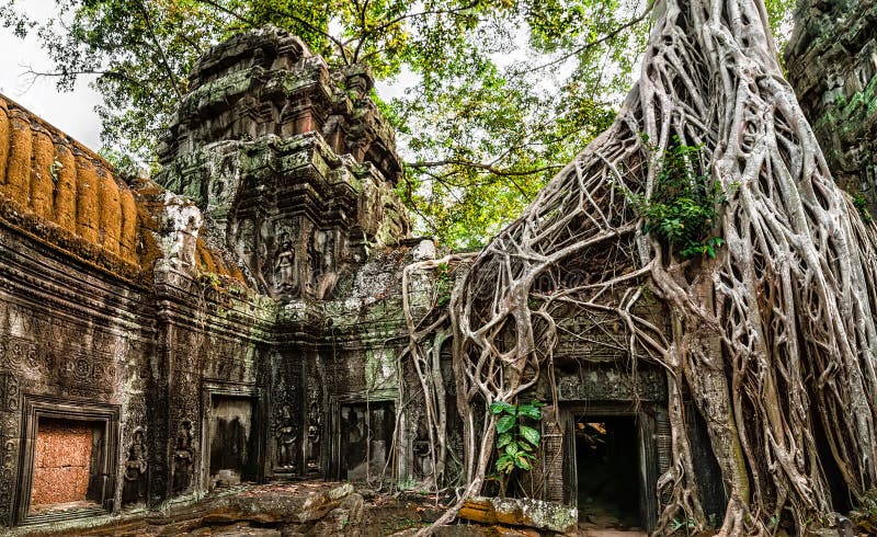 Alte Khmerarchitektur Tempel Ta Prohm mit riesigem Bantambaum tr