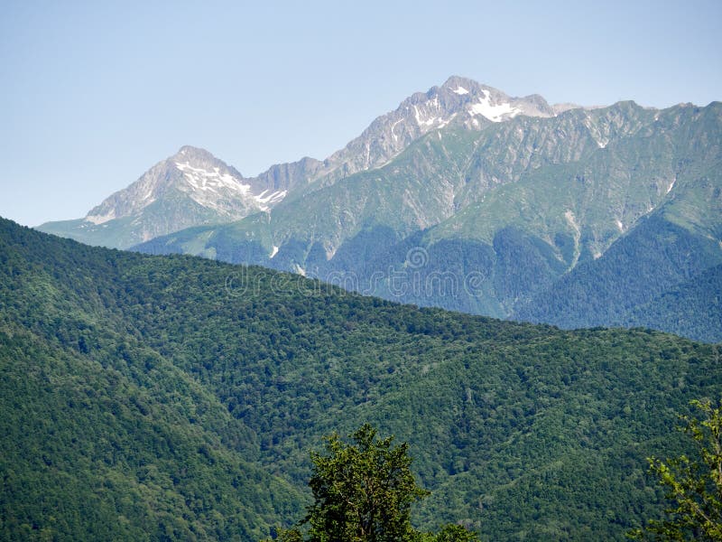 Alte montagne con i pendii verdi con i picchi nevosi Neve ed erba verde sui pendii di montagna di estate immagine stock libera da diritti Alte montagne con i pendii verdi con i picchi nevosi Neve ed erba verde sui pendii di montagna di estate immagine stock libera da diritti