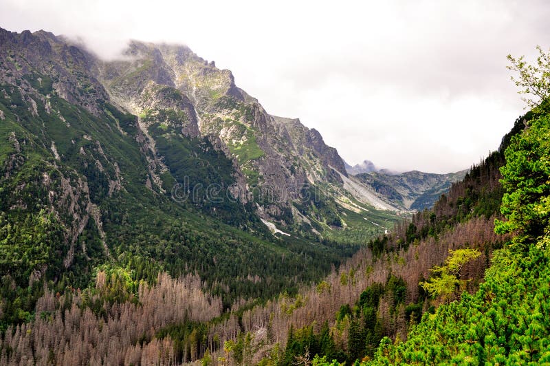 Alte montagne di tatras, Slovacchia immagine stock libera da diritti Alte montagne di tatras, Slovacchia immagine stock libera da diritti