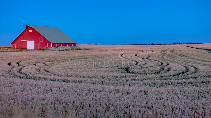 Alte Scheune palouse Bauernhoffeldern morgens auf stockfotos
