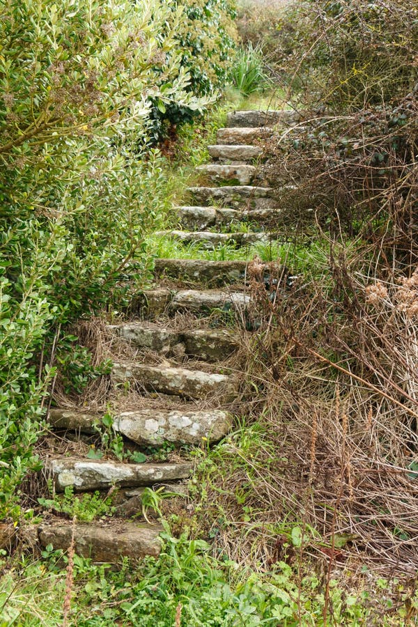 Alte Treppe veraltet in der Vegetation stockbilder Alte Treppe veraltet in der Vegetation stockbilder