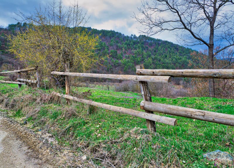 Alter Bretterzaun, Bäume, grünes Gras und blauer bewölkter Himmel auf grüner Wiese stockbilder Alter Bretterzaun, Bäume, grünes Gras und blauer bewölkter Himmel auf grüner Wiese stockbilder