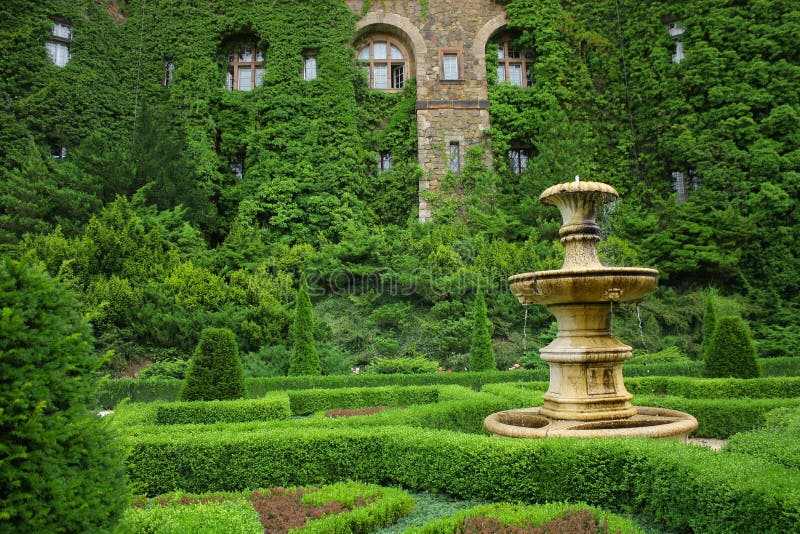 Wasser im Brunnen stockbild. Bild von nave, kriechpflanze