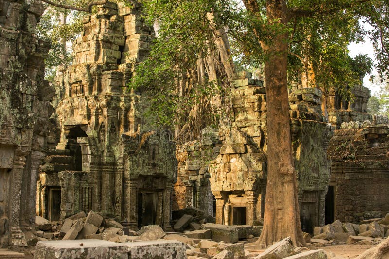 Alter Tempel Ta Prohm bei Angkor Wat lizenzfreie stockbilder Alter Tempel Ta Prohm bei Angkor Wat lizenzfreie stockbilder