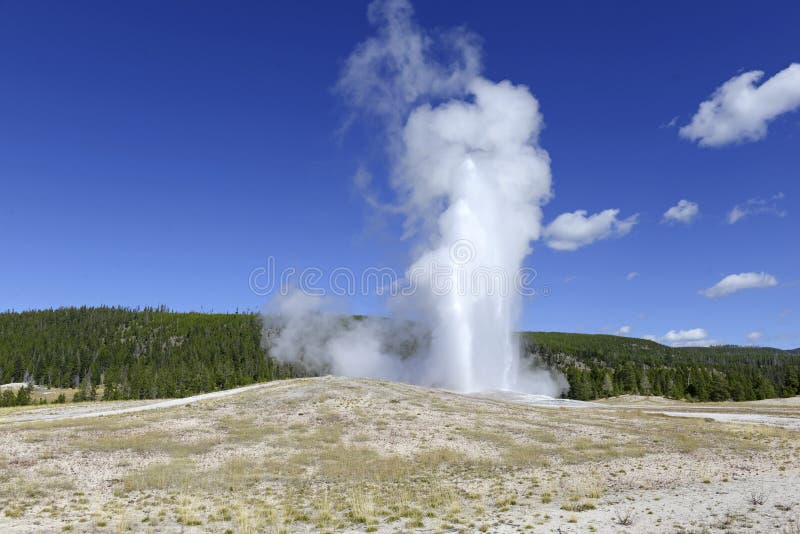 Alter zuverlässiger Geysir, Yellowstone Nationalpark, Wyoming stockbilder Alter zuverlässiger Geysir, Yellowstone Nationalpark, Wyoming stockbilder