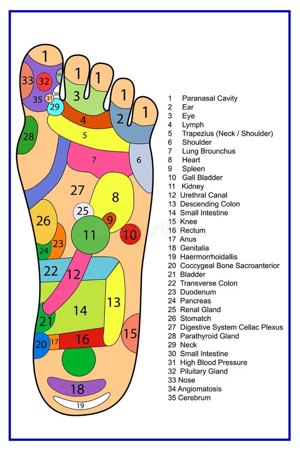 Alternative heal, Acupuncture - Foot Scheme