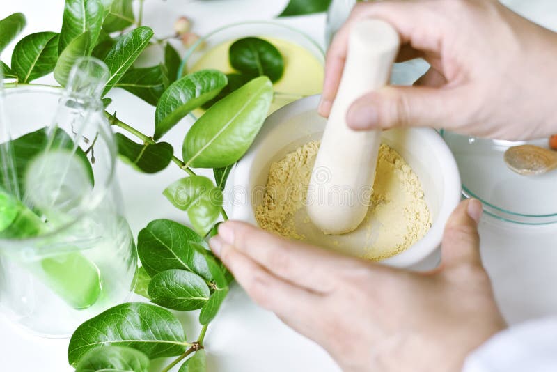 Alternative herbal medicine, Mortar with healing botanical herbs, Natural organic botany and scientific glassware. royalty free stock images Alternative herbal medicine, Mortar with healing botanical herbs, Natural organic botany and scientific glassware. royalty free stock images