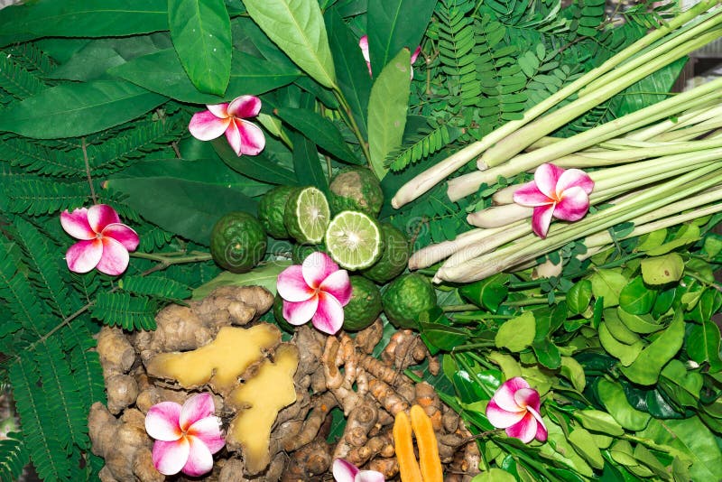 Alternative Indian Medicine Ayurveda Herbal Medicine Stock Image Image of aromatherapy, food