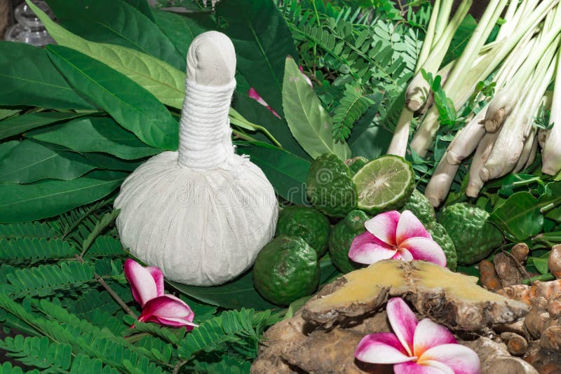 Alternative Indian Medicine Ayurveda Herbal Medicine Stock Photo Image of care, alternative