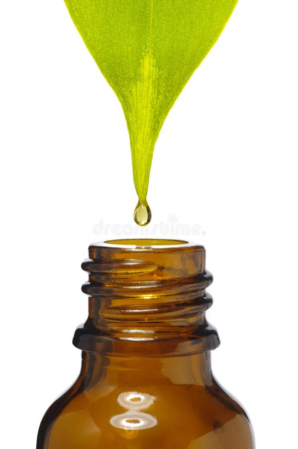 Drop is falling down from medicinal plant into bottle. Green herbal drug medicine stock images, royalty-free photos and pictures