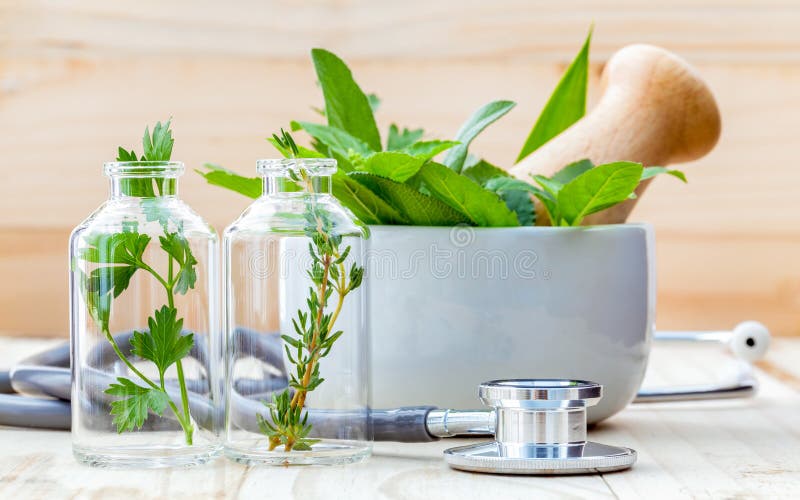 Alternativt hälsovårdbegrepp Grön mintkaramell för nya örter som är rosemar royaltyfri bild Alternativt hälsovårdbegrepp Grön mintkaramell för nya örter som är rosemar royaltyfri bild