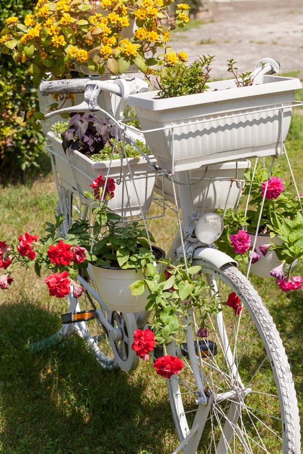 Altes Fahrrad Mit Eingemachten Blumen Stockfoto - Bild von schön, haupt