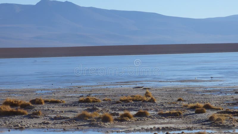 Altiplano en Bolivia, Suramérica foto de archivo Altiplano en Bolivia, Suramérica foto de archivo