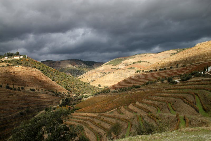 Alto Douro Wine Region stock image. Image of clouds, foliage 16994005