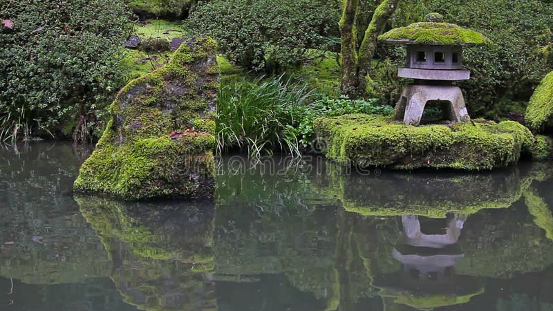 Alto film di definizione della riflessione giapponese dell'acqua dello stagno del giardino di Portland con la molla di pietra del