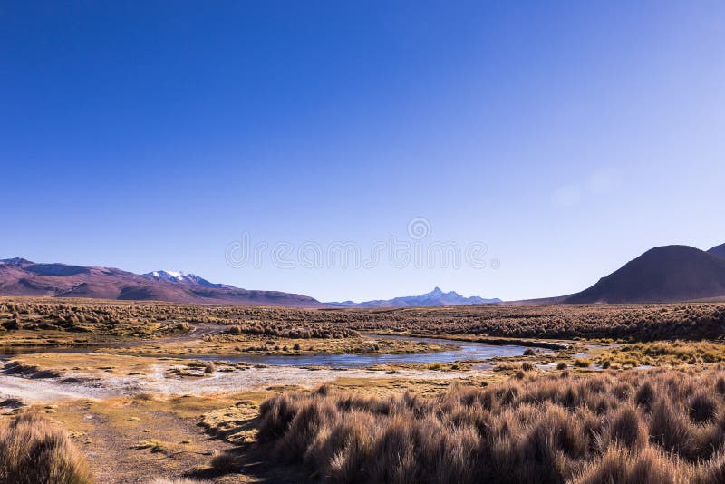 Alto paesaggio andino della tundra nelle montagne delle Ande immagine stock Alto paesaggio andino della tundra nelle montagne delle Ande immagine stock