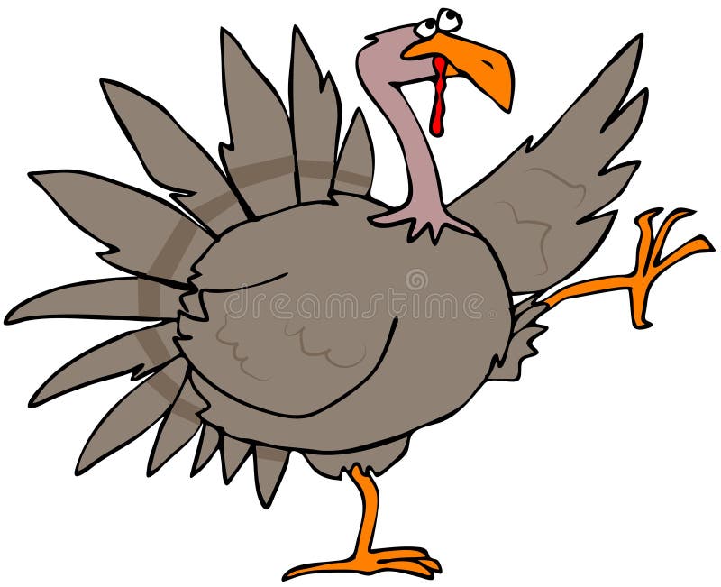 Alto pavo del struttin stock de ilustración Alto pavo del struttin stock de ilustración