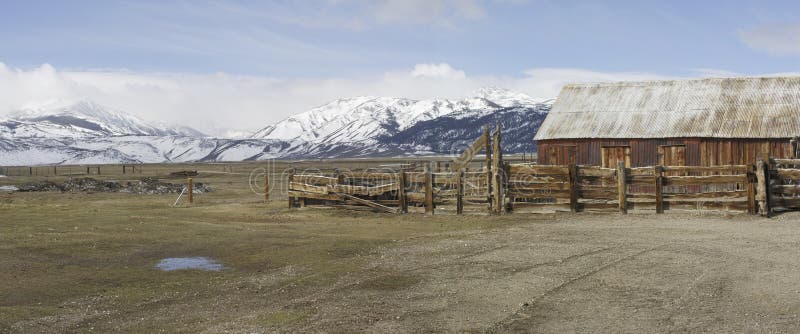 Alto rancho de ganado de la pradera