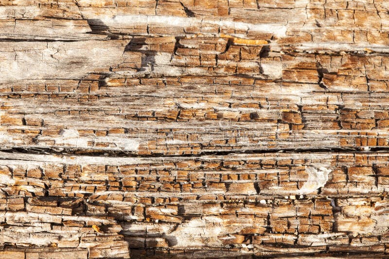 Alto vicino di legno di decomposizione immagini stock Alto vicino di legno di decomposizione immagini stock