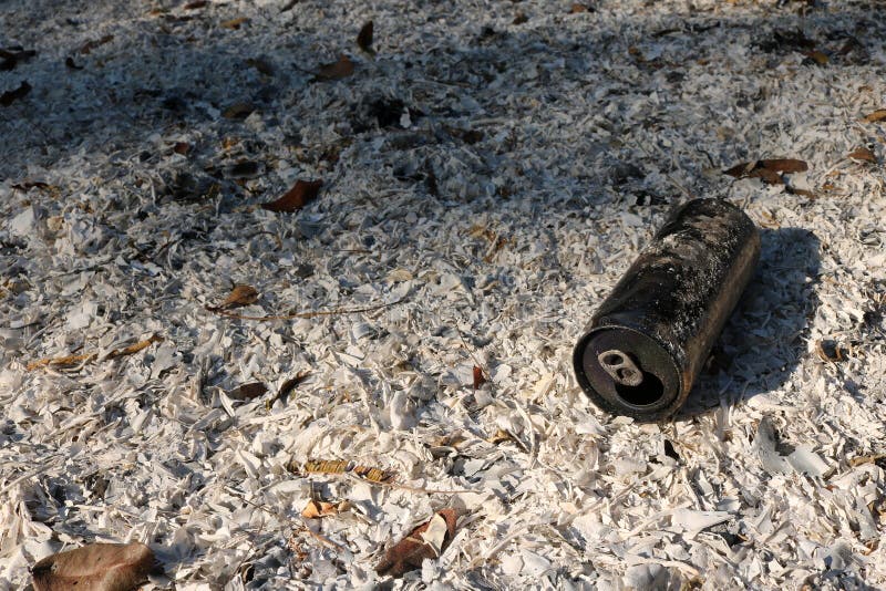 Aluminum Cans Burning on the Ashes of Leaf. Stock Photo Image of