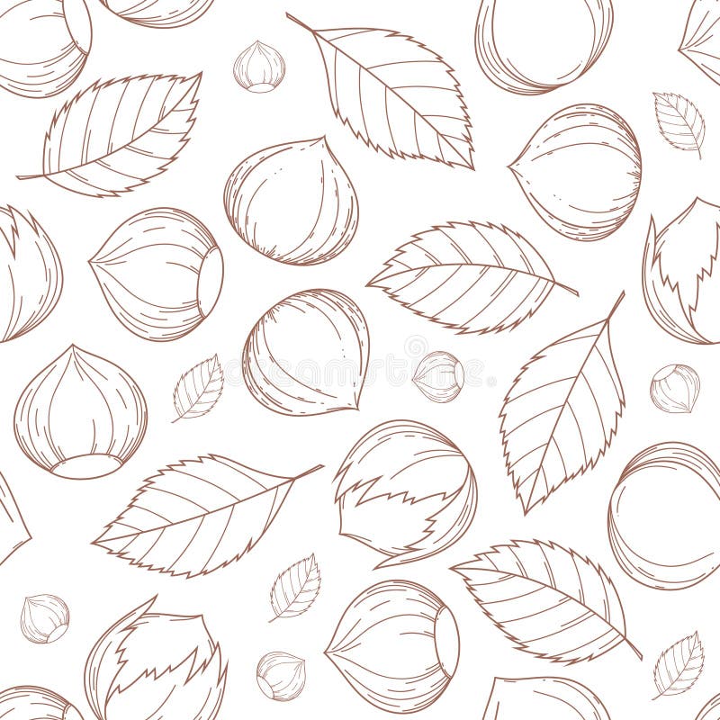 Aluna este desenată manual cu o linie maro izolată pe un model alb fără sudură ilustrație vector vector illustration